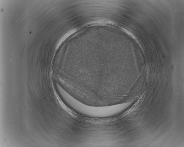 X0000066941042200604211745