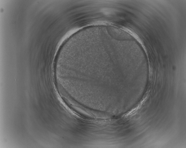 X0000066941045200604211745