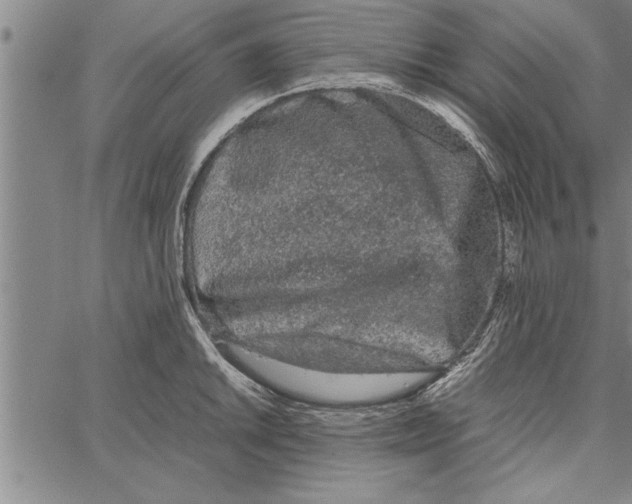 X0000066941046200604211745