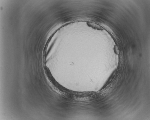 X0000066941047200604211745