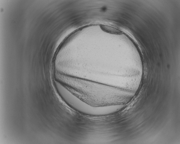 X0000066941048200604211745