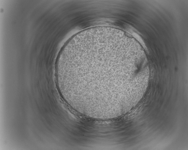 X0000066941051200604211745