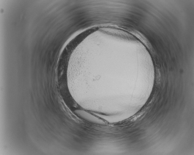 X0000066941052200604211745