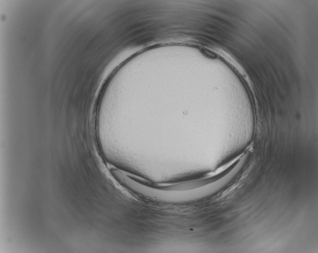 X0000066941053200604211745