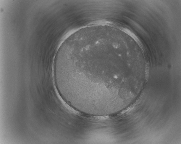 X0000066941055200604211745