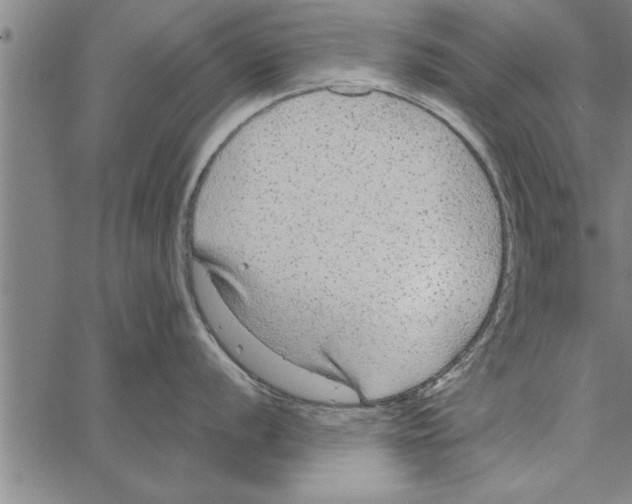 X0000066941056200604211745