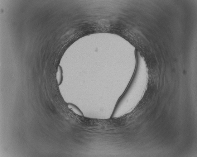 X0000066941057200604211744