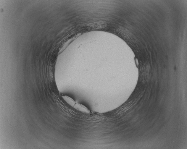 X0000066941058200604211744