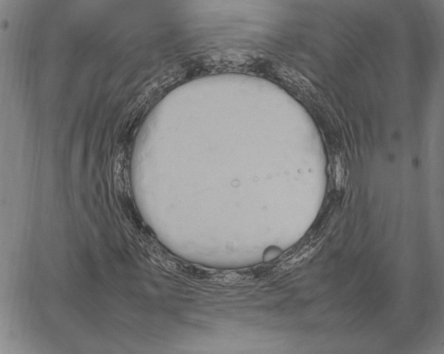 X0000066941059200604211744