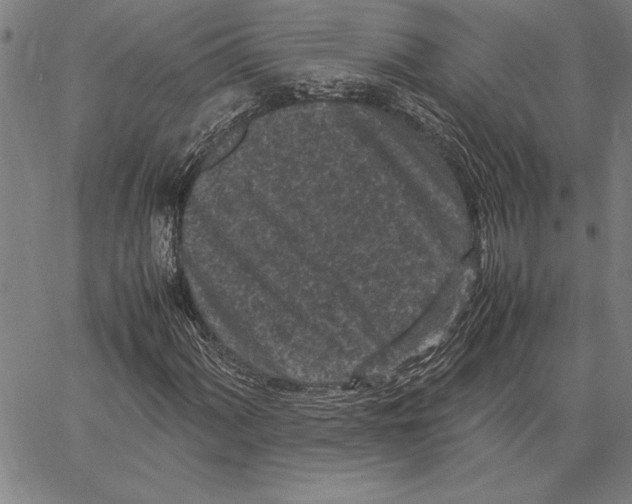 X0000066941060200604211744