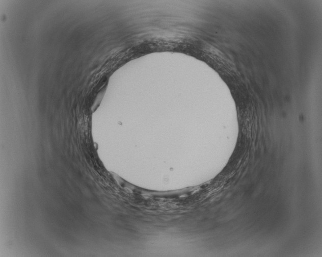 X0000066941061200604211744