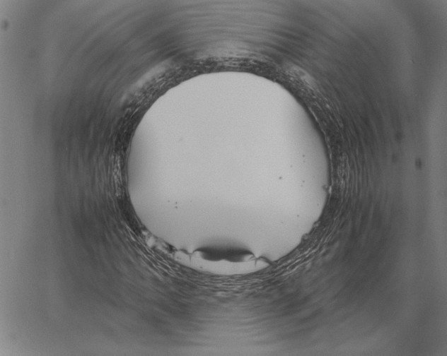 X0000066941062200604211744