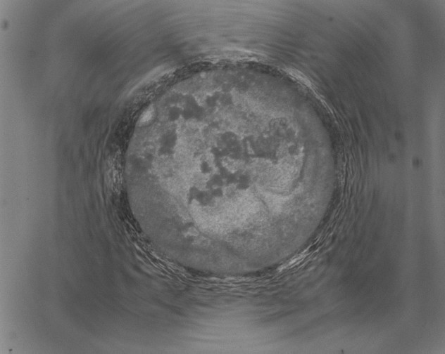 X0000066941063200604211744