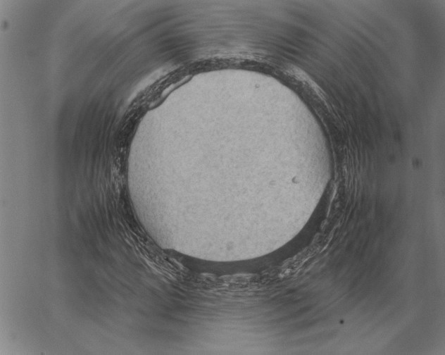 X0000066941064200604211744