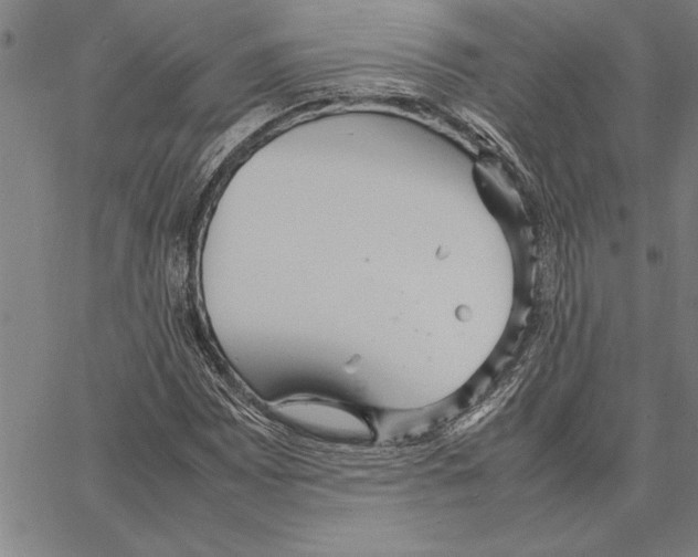 X0000066941065200604211744