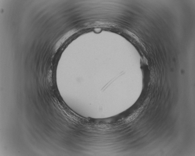 X0000066941066200604211744