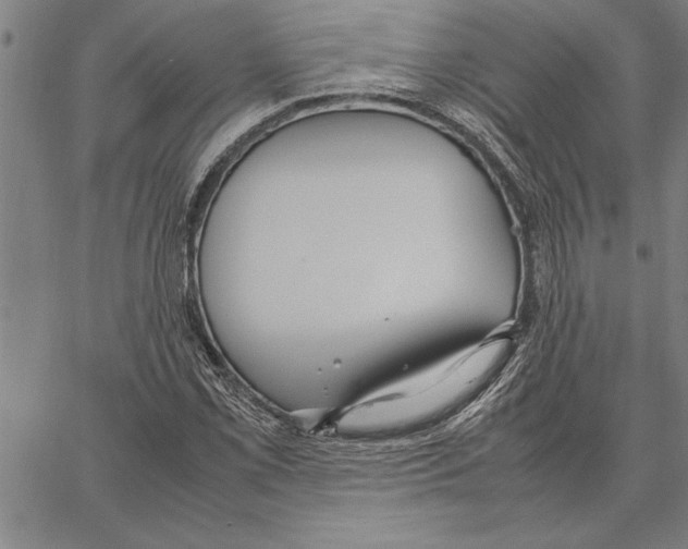 X0000066941069200604211744