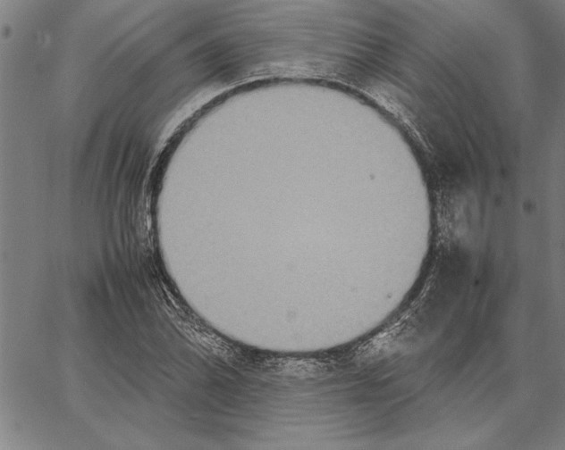 X0000066941070200604211744