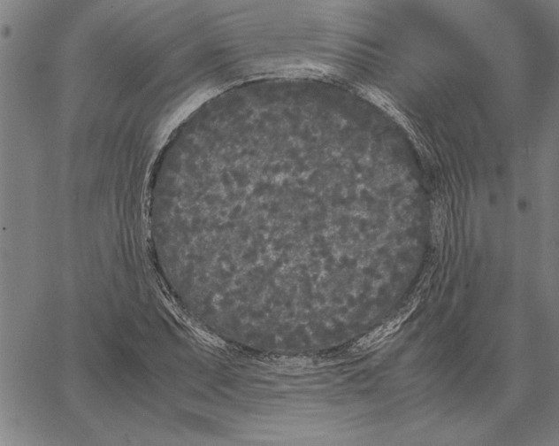 X0000066941071200604211744