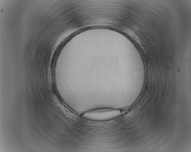 X0000066941072200604211744