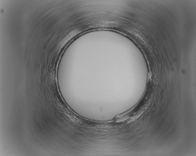 X0000066941073200604211744