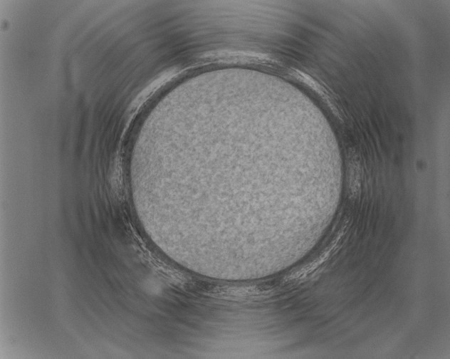 X0000066941074200604211744