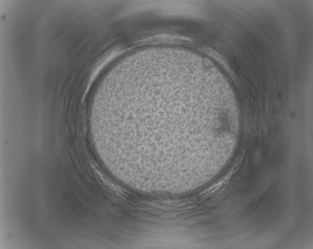 X0000066941075200604211744