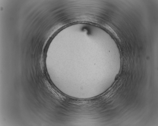 X0000066941076200604211744