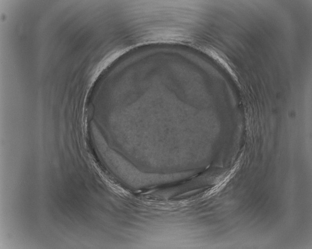 X0000066941077200604211744