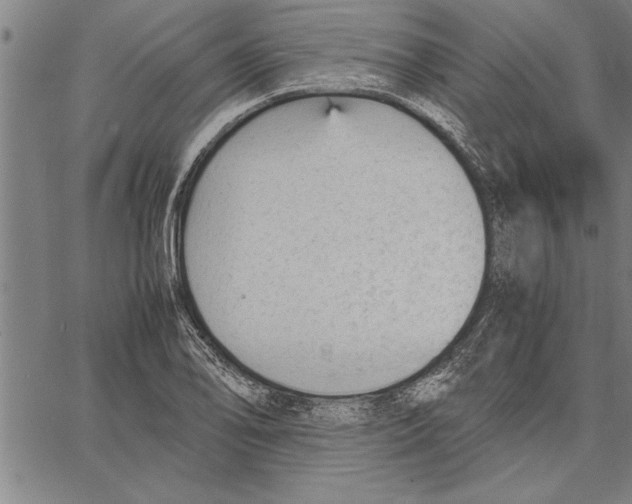 X0000066941078200604211744