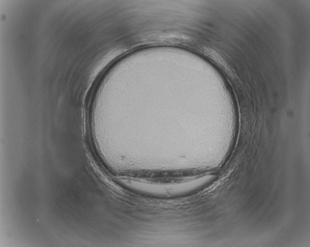 X0000066941079200604211744