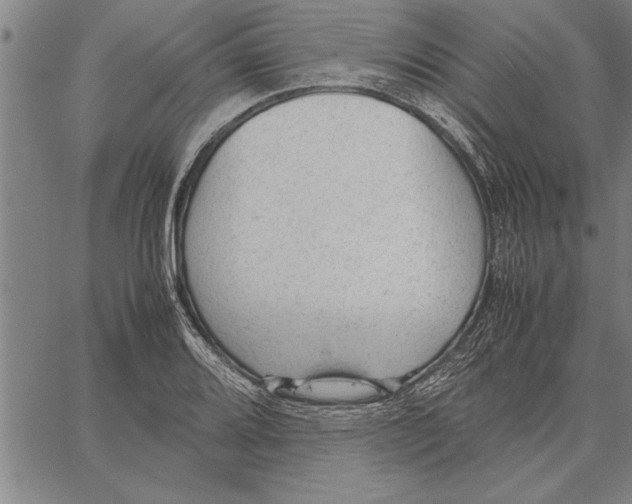 X0000066941080200604211744