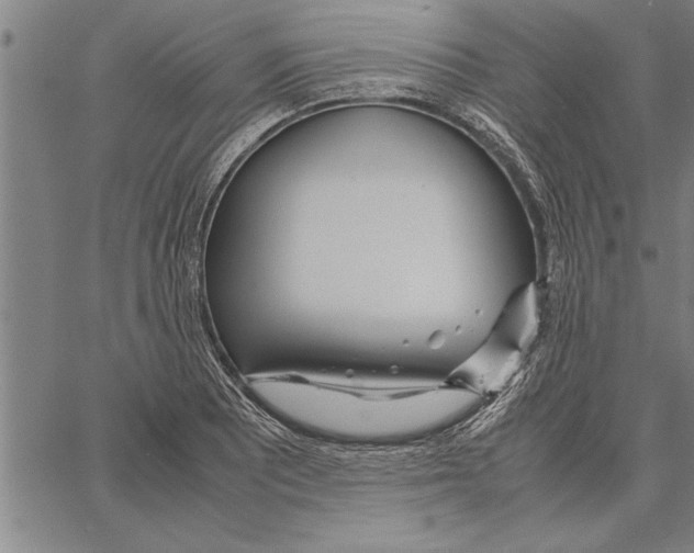 X0000066941081200604211744