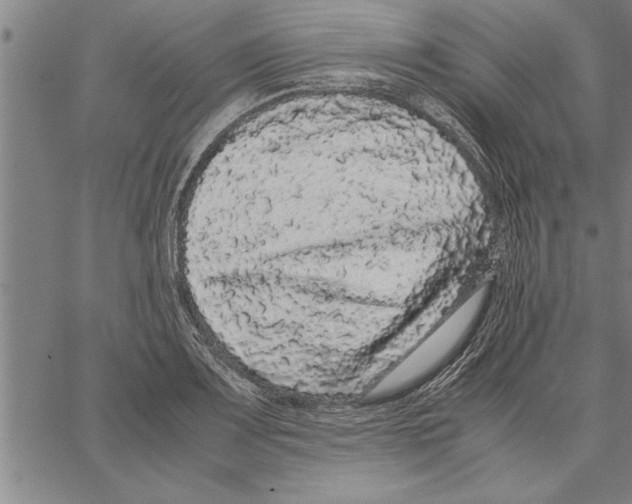 X0000066941083200604211744