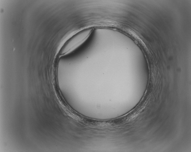 X0000066941085200604211744