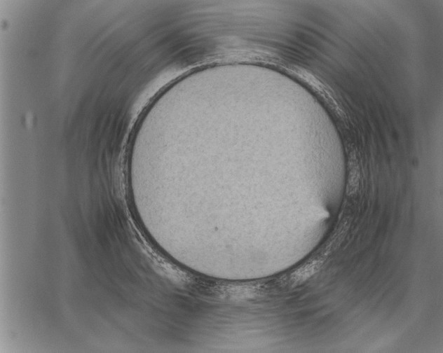 X0000066941086200604211744