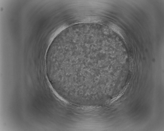 X0000066941087200604211744