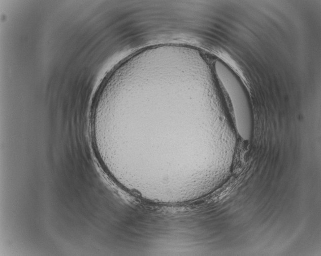 X0000066941088200604211744