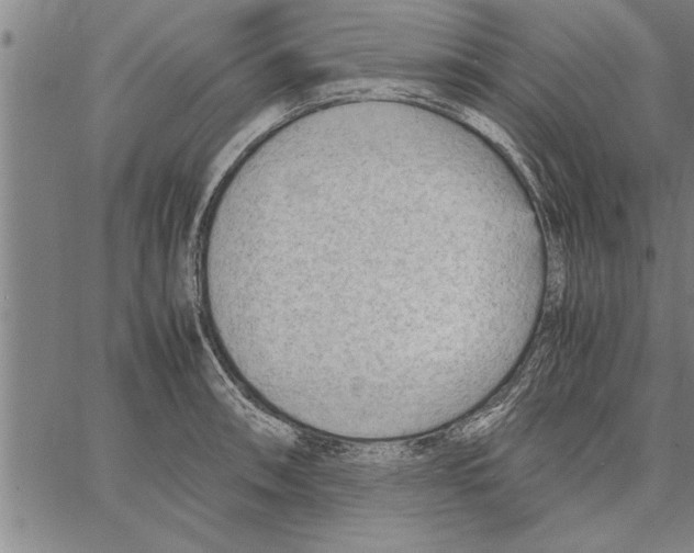 X0000066941090200604211744