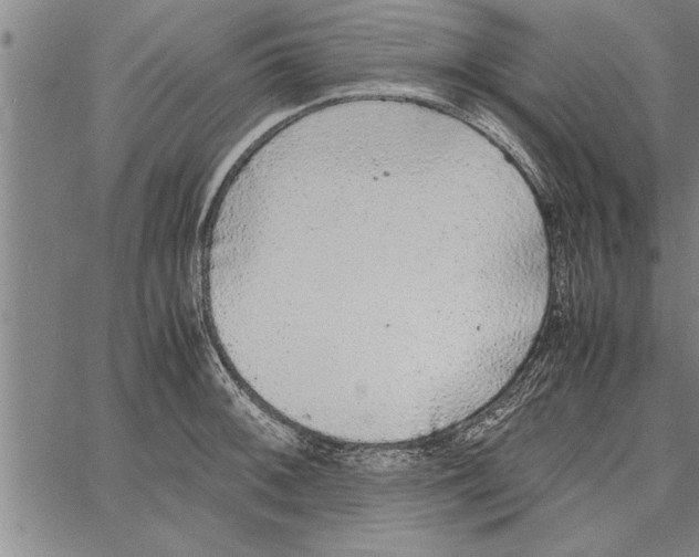 X0000066941092200604211744