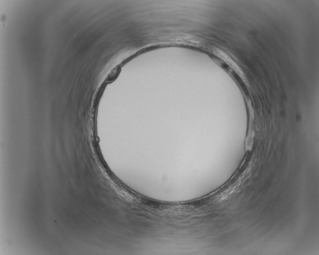 X0000066941093200604211744