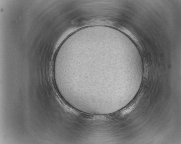 X0000066941094200604211744