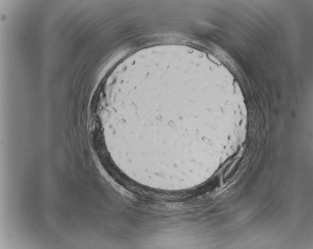 X0000066941095200604211744