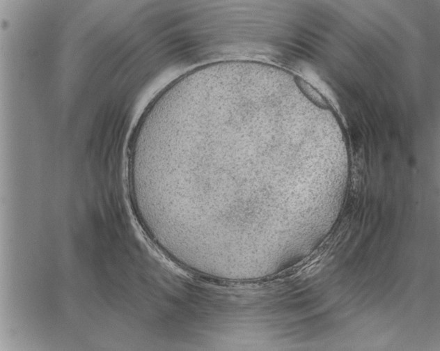 X0000066941096200604211743