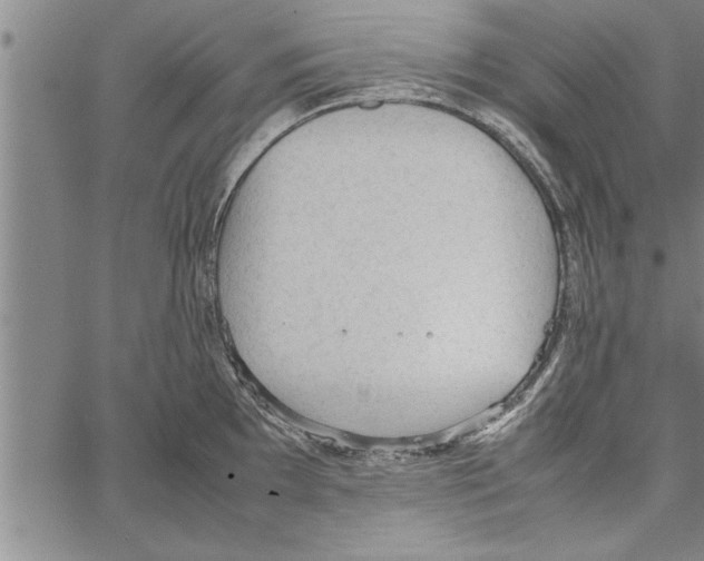 X0000066941097200604211743