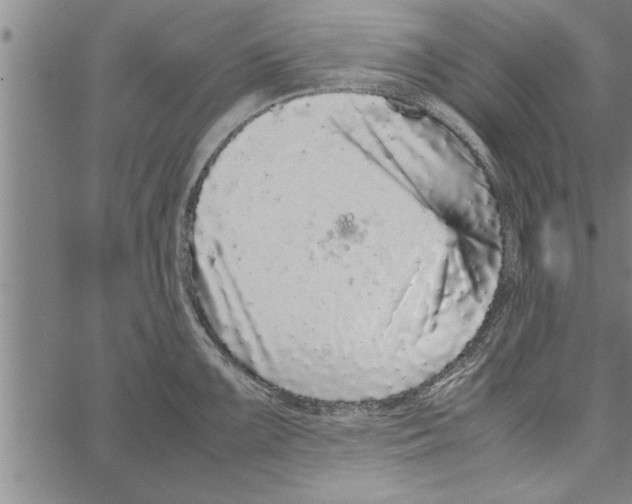 X0000066941099200604211743