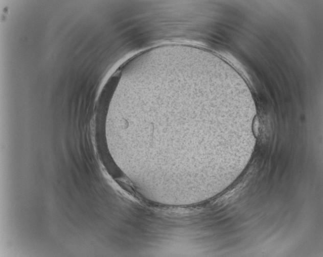 X0000066941100200604211743