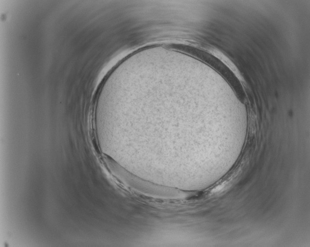 X0000066941101200604211743