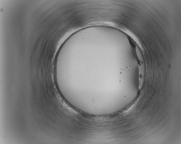 X0000066941102200604211743