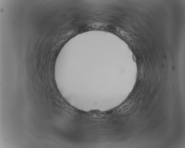 X0000066941105200604211743